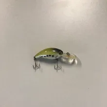 Bass Lipped Crankbait