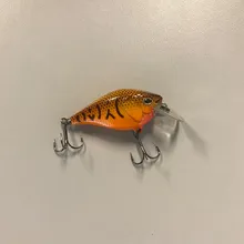 Bass Lipped Crankbait