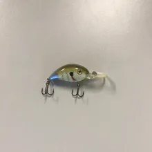 Bass Lipped Crankbait