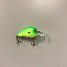 Bass Lipped Crankbait