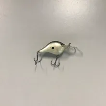 Bass Lipped Crankbait