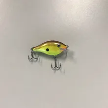 Bass Lipped Crankbait