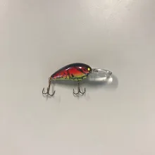 Bass Lipped Crankbait