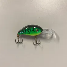 Bass Lipped Crankbait