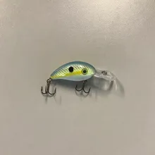 Bass Lipped Crankbait