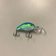 Bass Lipped Crankbait