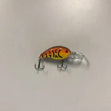 Bass Lipped Crankbait