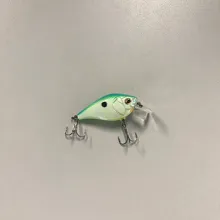 Bass Lipped Crankbait