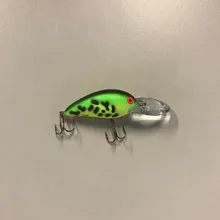 Bass Lipped Crankbait