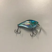 Bass Lipped Crankbait