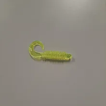 Curly Tail Grub