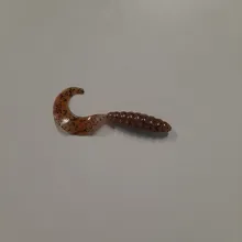 Curly Tail Grub