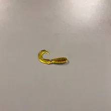 Curly Tail Grub