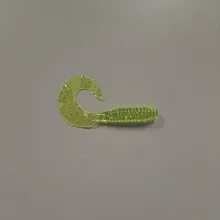 Curly Tail Grub