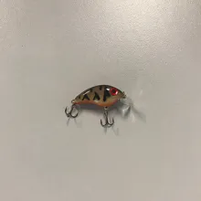 Sunfish & Crappie Lipped Crankbait