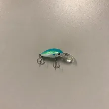 Sunfish & Crappie Lipped Crankbait