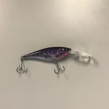 Walleye & Saugeye Lipped Crankbait