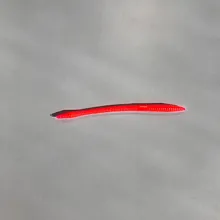 Worm (Soft Plastic)
