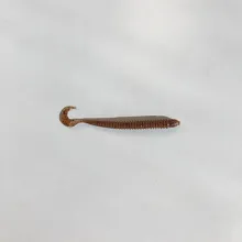 Worm (Soft Plastic)