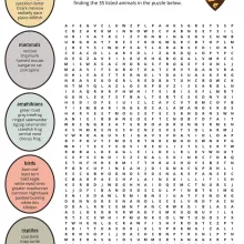 Wildlife Diversity Word Search