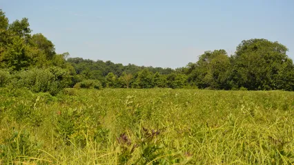 Neosho WMA, photo by SKylar St. Yves