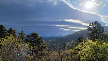 Ouachita WMA Leflore Unit, photo by Randall Latham RPS 2021