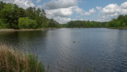Schooler, photo by Kelly Adams