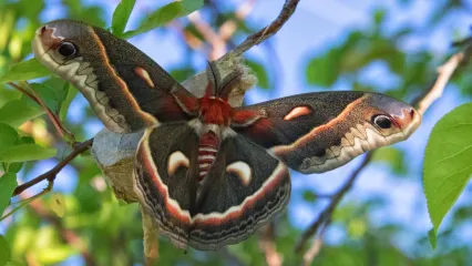 Oklahoma Department of Wildlife Conservation | Oklahoma Department of  Wildlife Conservation