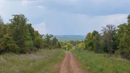 Road on Cherokee WMA