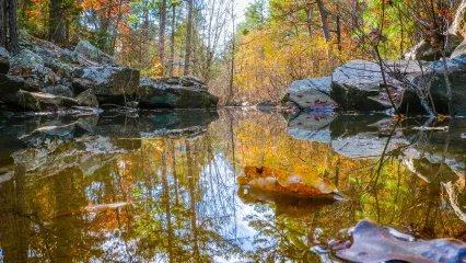 Robbers Cave State Park, photo by Brett Day/RPS 2019