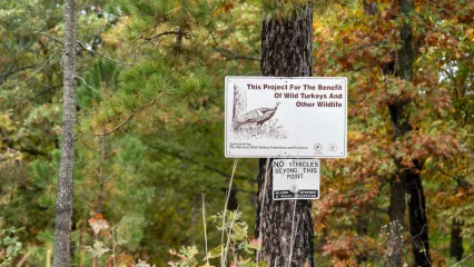 Spavinaw WMA wild turkey sign.