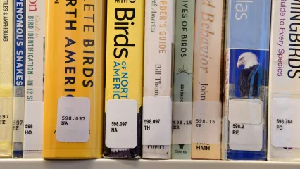 A collection of nature books at a library