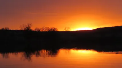 Fairfax City Lake, photograph by Connie Estes/RPS 2019