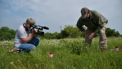 A photo of an Outdoor Oklahoma video crew member crouched down with a video camera next to a biologist who is talking about Oklahoma butterflies