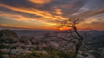 A standing dead tree stands among granite boulders with orange red sky in the background.