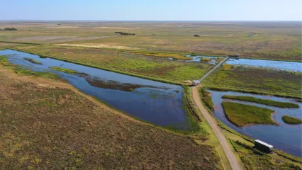 A droneshot of the wetlands at Hackberry Flat.