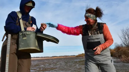 A biologist passes a soil sample to another biologist holding a small ice chest. 