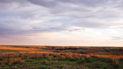 A landscape view of Cimarron Hills WMA mixed grass prairie.
