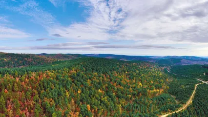 A view from above of the Three Rivers WMA showing fall colors.