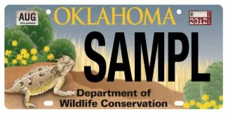 Lizard License Plate Sample