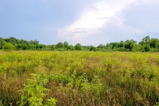 Private acreages that offer hunting, fishing and wildlife viewing opportunities are good candidates to enroll in the new Oklahoma Land Access Program, which offers payments in exchange for public outdoor recreation access.  [KELLY ADAMS/ODWC]