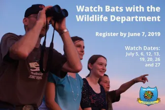 2019 Bat Watch promo