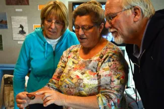 Tagging monarch butterflys