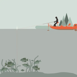 Graphic showing crappie jigging in clear water and clear sky conditions.