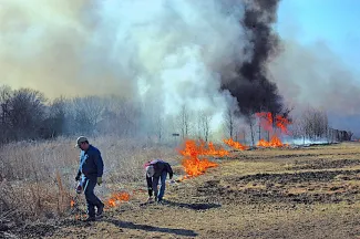 Prescribed burn for habitat management