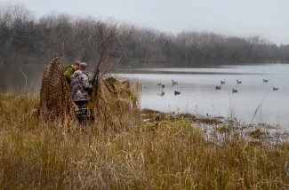 Teal and resident Canada goose seasons open Saturday, Sept. 7, giving waterfowlers some early shots before the regular duck season openers. (Don P. Brown/ODWC)
