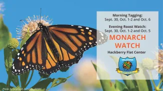 Monarch watch facebook cover 2018