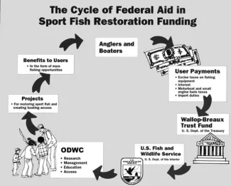 The cycle of Federal Aid in Sport Fish Restoration Funding.