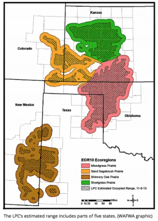 Lesser Prairie-chicken map