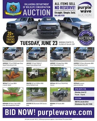 ODWC Auction Flyer